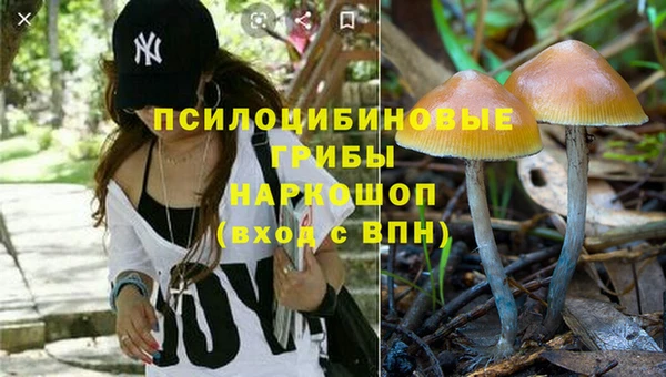 соль курить ск Армянск